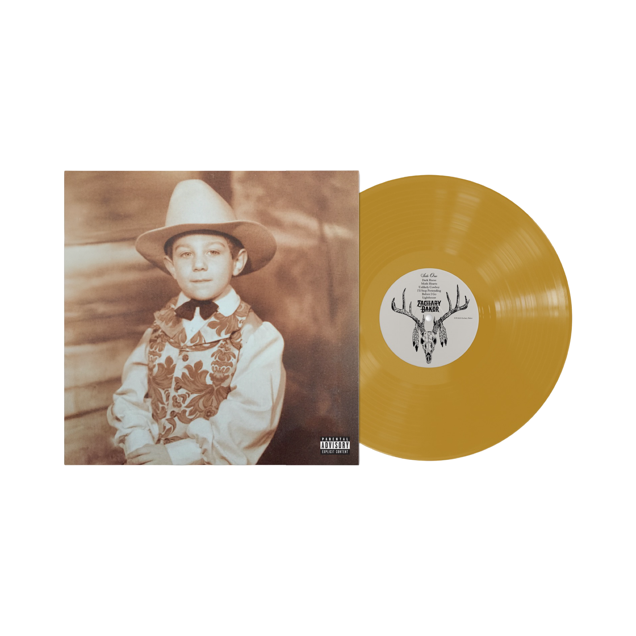 超特価!! v.a. dark horse records (RARE!!) Zachary Baker 'Dark Horse' Gold - Vinyl Record – Vengeance University