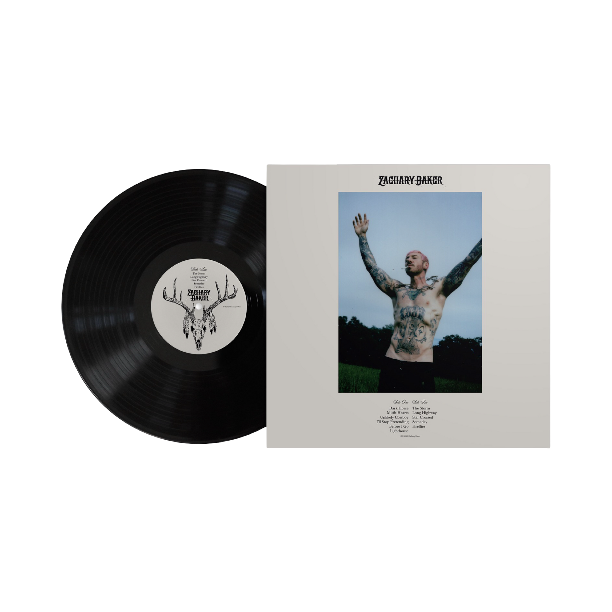 超特価!! v.a. dark horse records (RARE!!) The Best of Dark Horse Records: 1974-1977 Limited Edition Vinyl